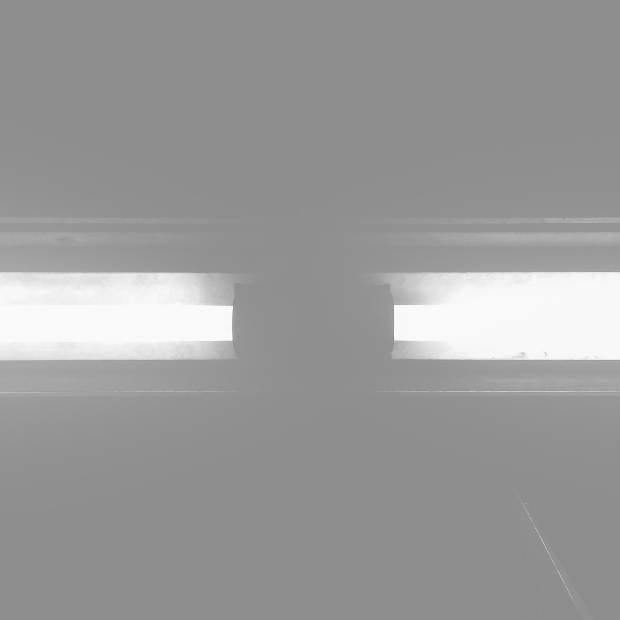 Elit Condimentum